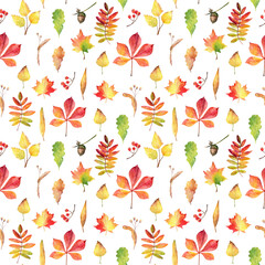 Modern autumn seamless pattern. Hand drawn watercolor falling leaves.