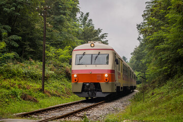 Obraz premium Commuter train in Slovenia in white, red, orange and yellow color rushing on a branch line towards the city of Metlika. Train going through a green forest on a single line track.