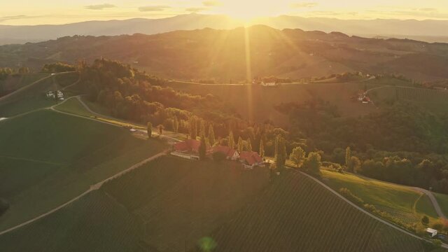 Aerial view of vineyard hills in South Styria, Tuscany like landscape. Sunset with clear sky, summer. Drone shot