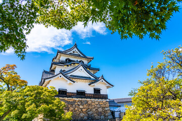 彦根城 滋賀県 観光地