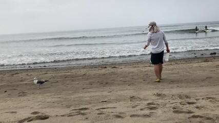 a bird and man walking on the beach