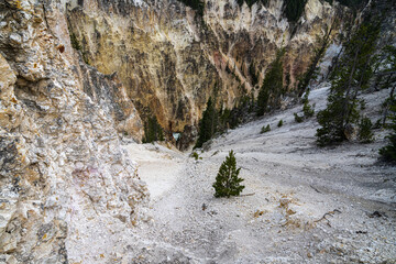 Fototapeta na wymiar Brink of the Lower Falls, Grand Canyon, Yellowstone Park