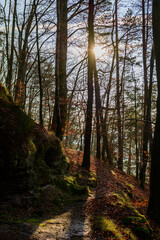 Sächsische Schweiz Deutschland