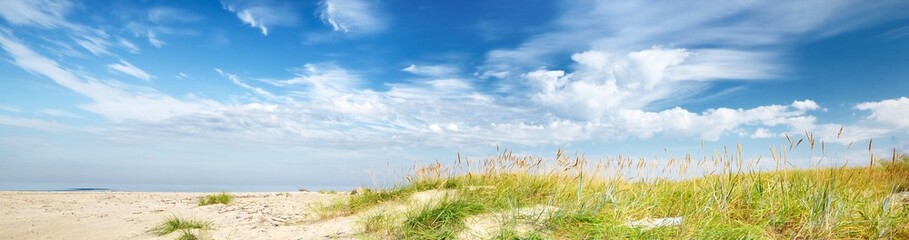 Panoramic view of the sandy Baltic sea shore on a sunny summer day. Sand dunes, green grass and...