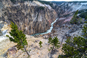 The Grand Canyon in Yellowstone Park