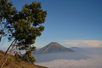 Mount Sindoro seen from the slopes of Mount Sumbing in the morning where thick clouds still lay covering the view down