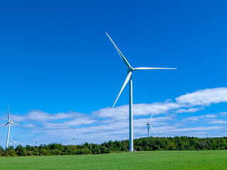 Wind Turbine Farm on Clear Summer Day