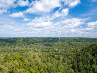 Turaida castle in between the forest. Aerial photo.