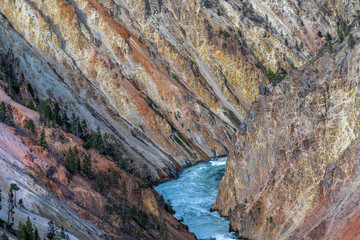 The Grand Canyon in Yellowstone Park
