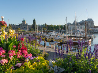 Victoria Harbour with colourful flowers in the foreground and the the legislative Assembly in the...