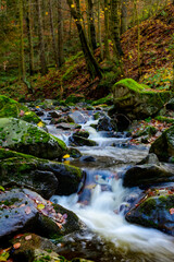 Harz bachlauf beim Sonnenuntergang