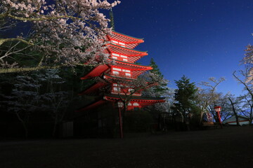 五重塔と夜桜