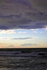 Ocean sunset with a seagull trying to get home.