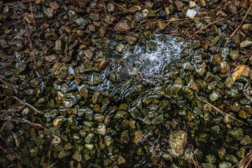 Close up of small puddle od water by the river small rocks and pebbles texture background 