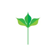 leafe logo