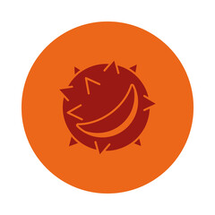 autumn chestnut icon, block style