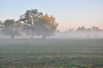 Sonnenaufgang Nebel