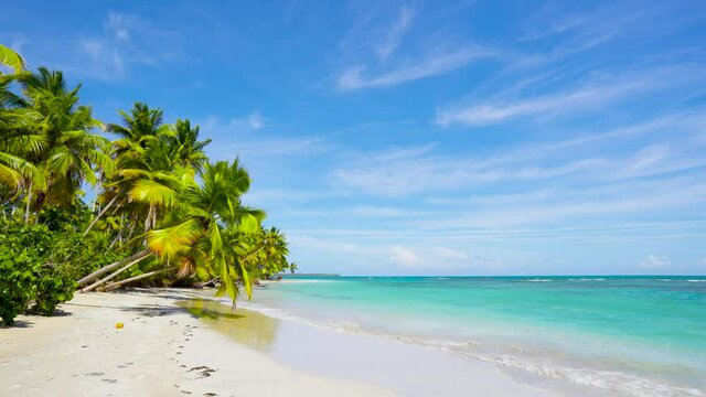 Summer vacation on the Malaysia sea beach. Clear sea wave beats on pristine palm beach. Natural seashore with palm forest.