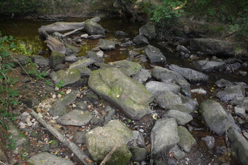 Orvault - La vallée du Cens