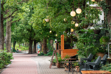 恵比寿の街並み、カフェのある通り/舗道/東京都渋谷区