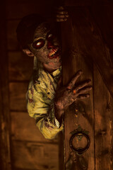 main character of the Thriller