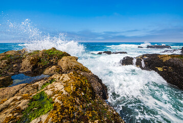 Ocean waves at Bodega Head