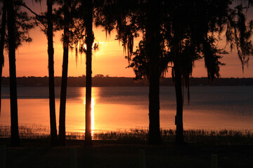 Sunset silhouette over lake