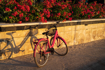 pink bicycle in the street with flowers
