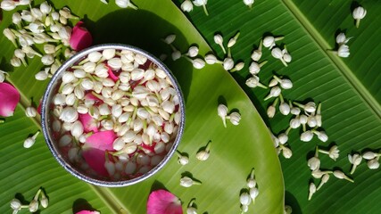 A bowl of water with rose and jasmine petals placed on banana leaves. An illustration of a Thai...
