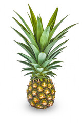 Fototapeta premium pineapple isolated on white background.