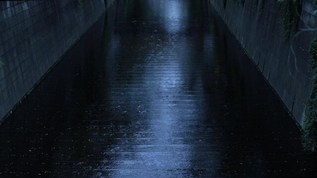 Meguro River, Nakameguro, Tokyo, Japan