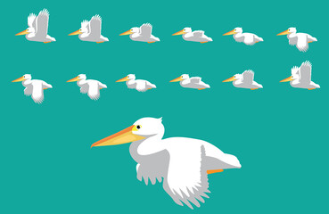 Animal Animation Sequence Pelican Flying Cartoon Vector