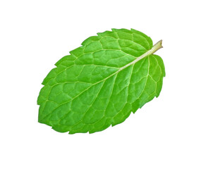 peppermint isolated on white background.