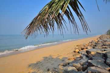 Cherai beach in Kochi