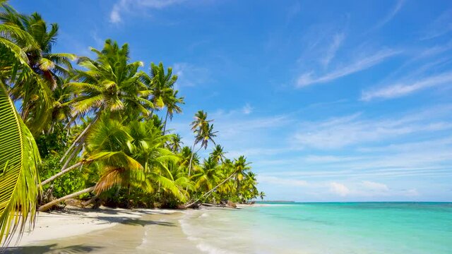 Travel to Cuba beach. Relax on the beach with palm forest and azure heaven. Palm beach and clear wave turquoise sea landscape.. Summer concept without people.