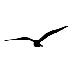 Silhouette of flying Bird isolate on white background. for web and mobile vector illustration