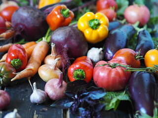 Fresh organic vegetables from garden on a rustic wooden background. Healthy food concept