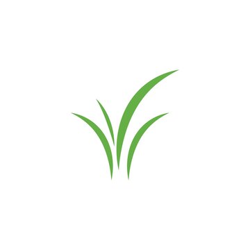 Grass Ilustration Logo