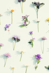 Creative layout made of summer field flowers. Nature background