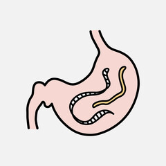 Gut parasites doodle, hand drawn vector doodle illustration of worm parasites inside the stomach, isolated on white background.