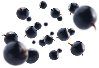 Blackcurrant berries levitate on a white background - obrazy, fototapety, plakaty