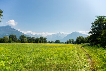 Panoramic View of Idyllic Mountain Scenery in the Alps with Fresh Green Meadows.