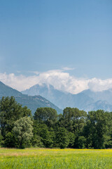 Picturesque Mountain Alps and Green Meadow with Yellow Flowers near Lake Como. Colico City. Italy.