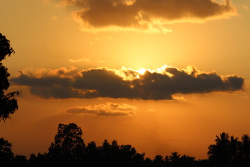 Fototapeta premium sunset in the forest