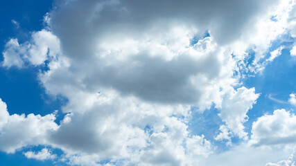 Obraz premium 青空・雲