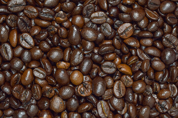 coffee beans background