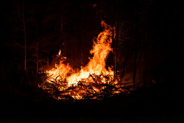 Big flames of forest fires at night. Intense flames from a massive forest fire