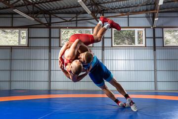 Greco-Roman wrestling training, grappling. Two greco-roman  wrestlers in red and blue uniform wrestling  on a wrestling carpet in the gym.Training and practicing sports throws - obrazy, fototapety, plakaty