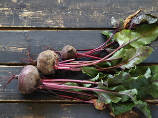 Beet with tops on a black wooden background. Agriculture.