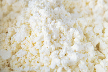 Close-up cottage cheese before cooking. Close-up diary product texture.